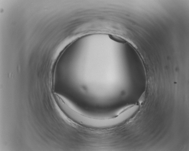 X0000055521523200509022110