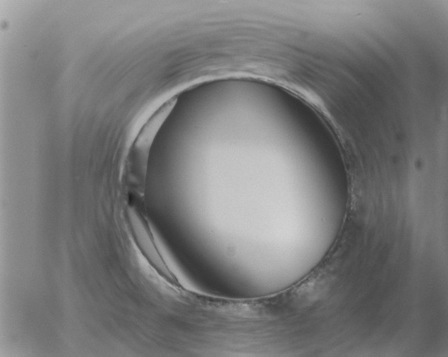 X0000055521524200509022110