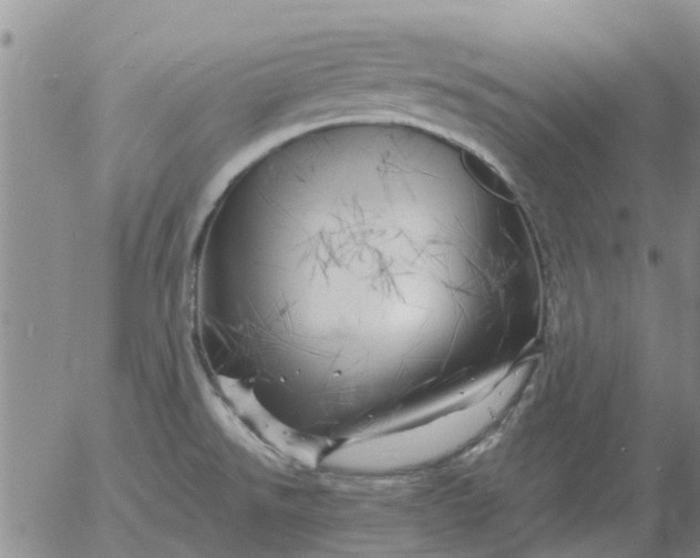 X0000055521526200509022110