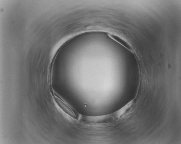 X0000055521527200509022110