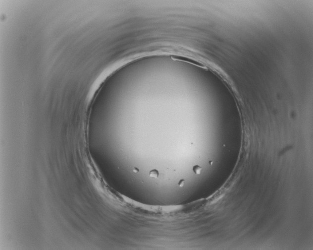 X0000055521530200509022110