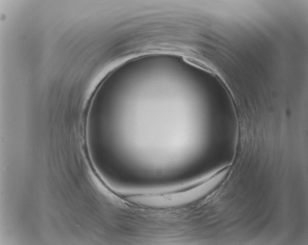 X0000055521531200509022110