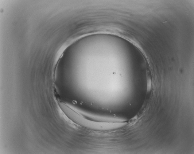 X0000055521532200509022111