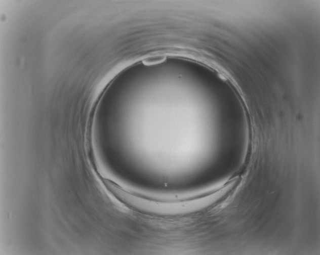 X0000055521533200509022111