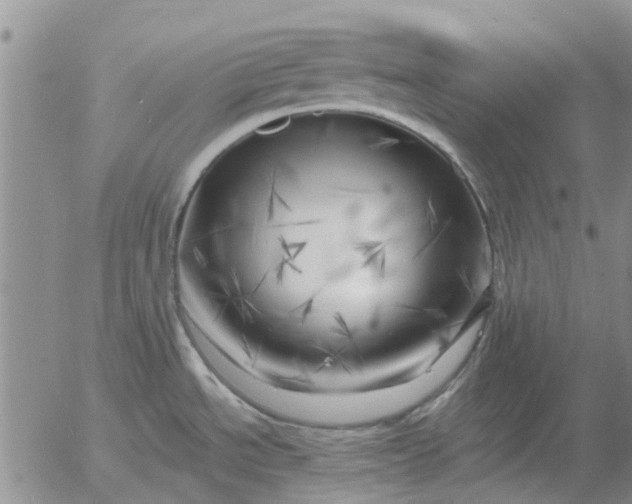 X0000055521534200509022111