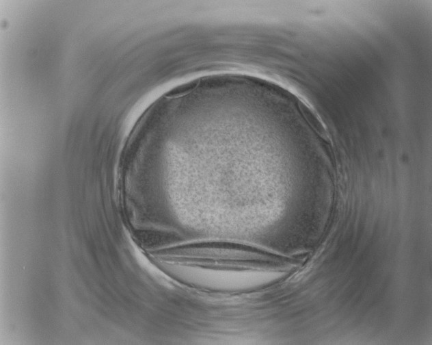 X0000055521535200509022111