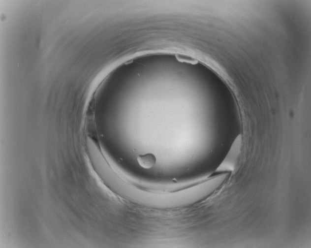 X0000055521536200509022111