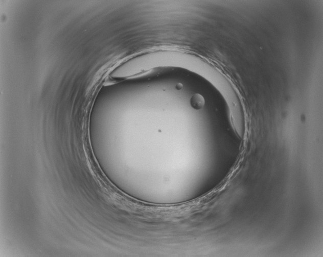 X0000055520001200509091419