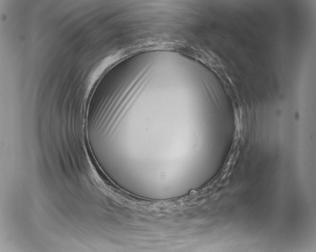 X0000055520003200509091419