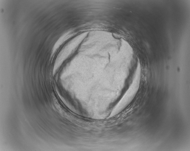 X0000055520004200509091419