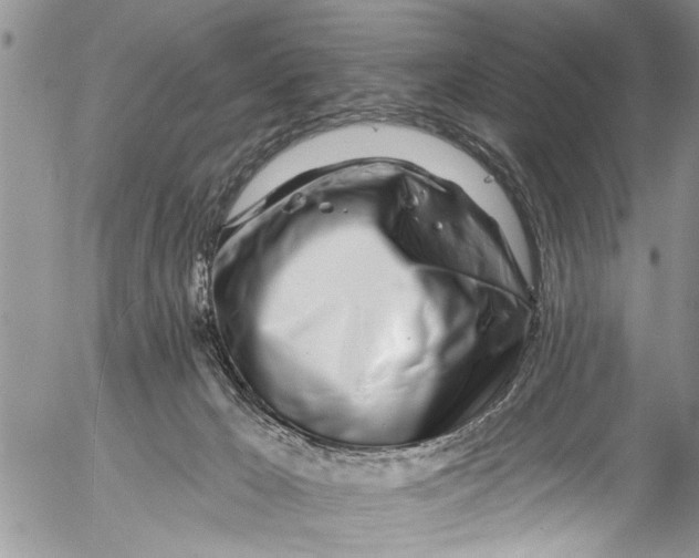 X0000055520029200509091418