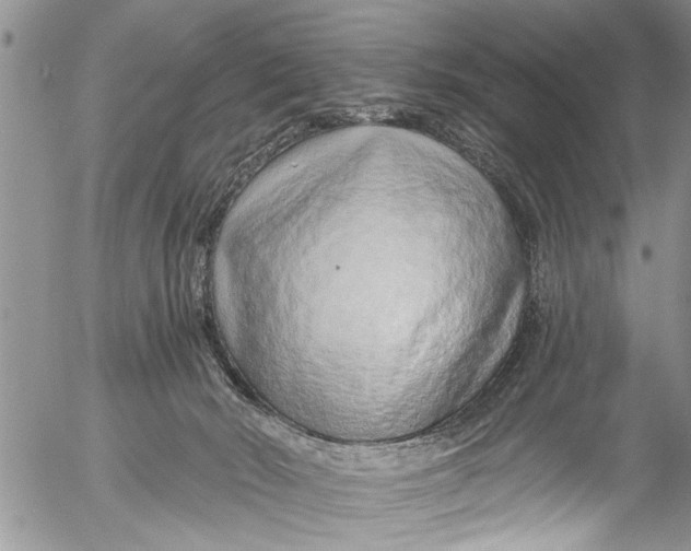 X0000055520030200509091418