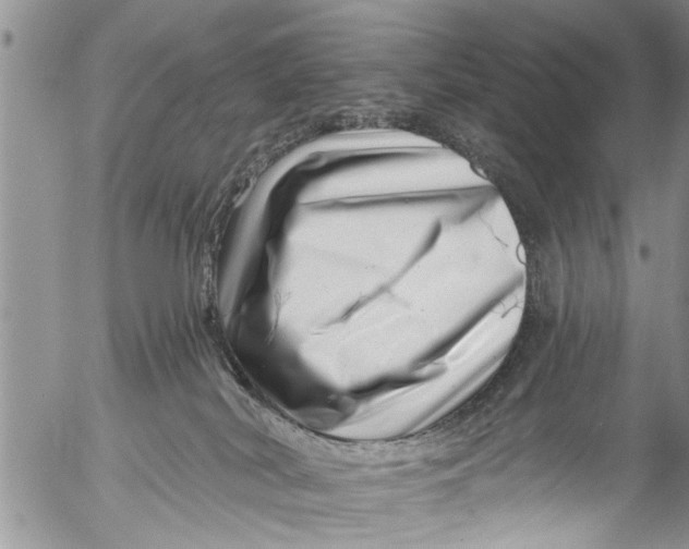 X0000055520038200509091418