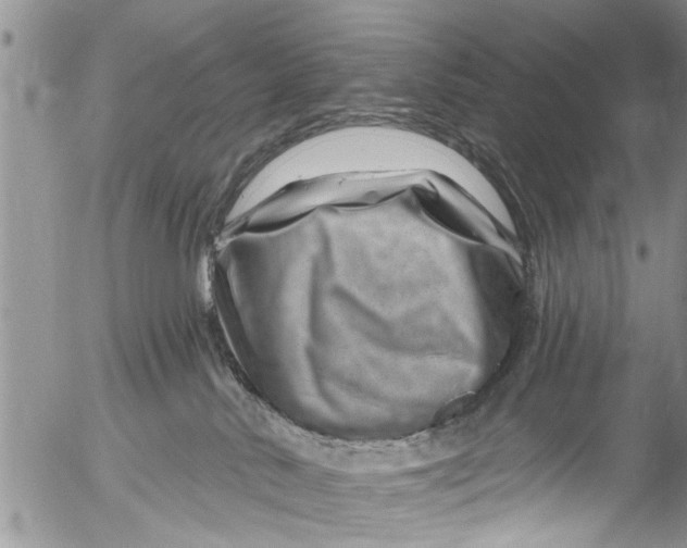 X0000055520042200509091418