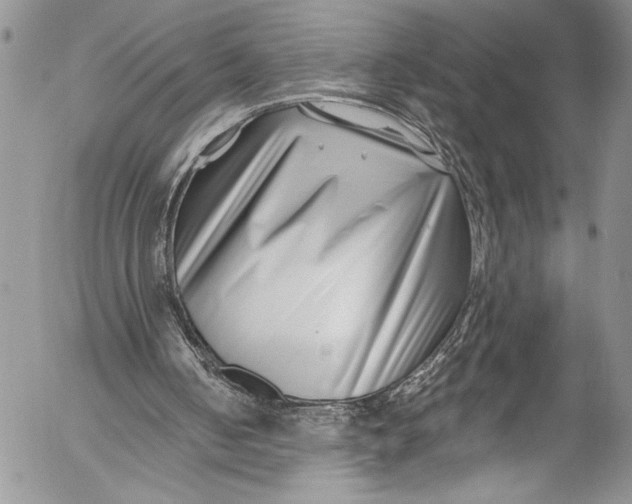 X0000055520050200509091417