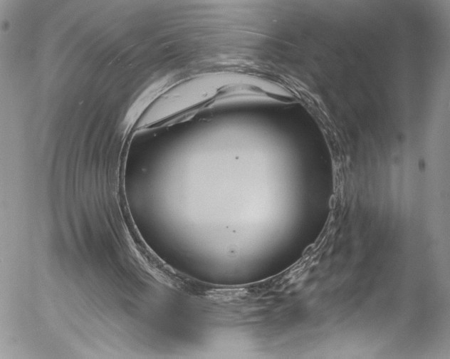 X0000055520051200509091417