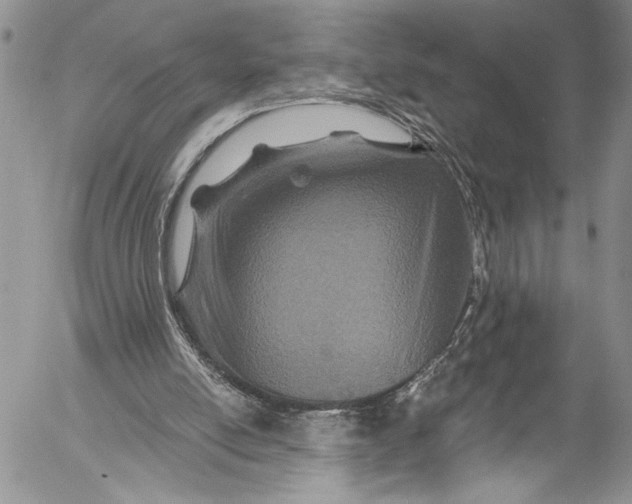 X0000055520054200509091417