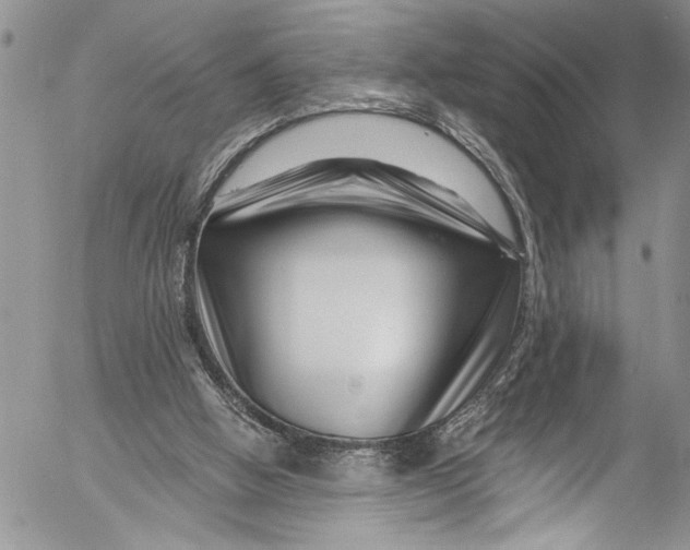 X0000055520058200509091418