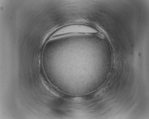 X0000055520059200509091418