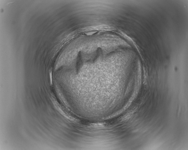 X0000055520061200509091418