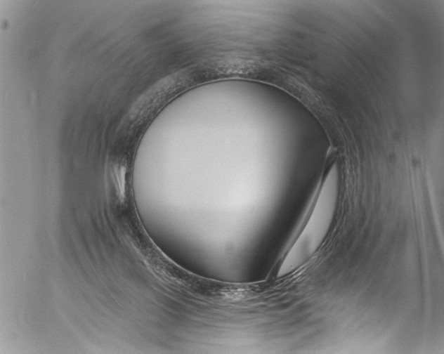 X0000055520070200509091418