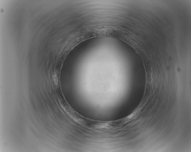 X0000055520086200509091418
