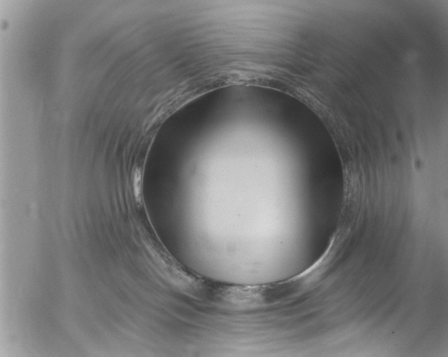 X0000055520094200509091418