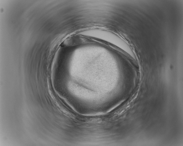 X0000055520097200509091417