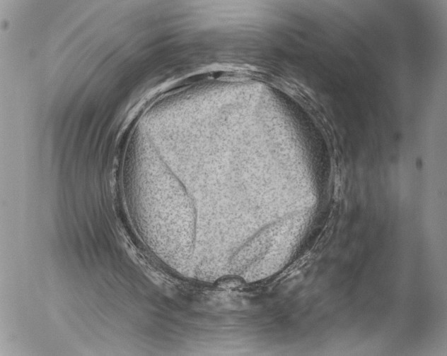X0000055520098200509091417