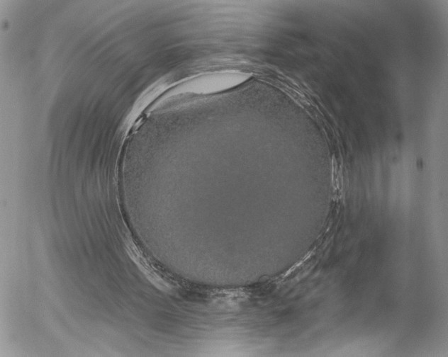 X0000055520099200509091417