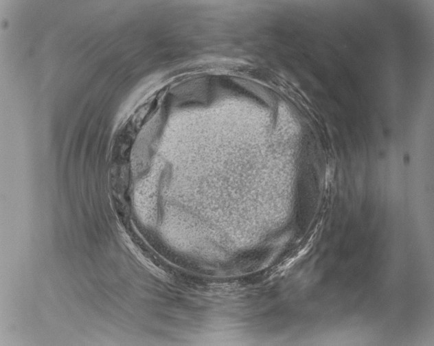 X0000055520101200509091417