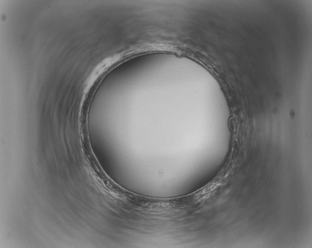 X0000055520104200509091417