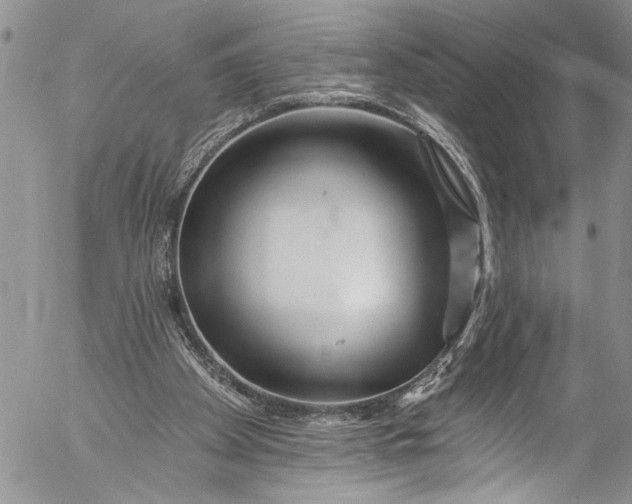 X0000055520105200509091417