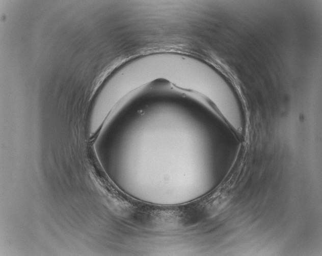 X0000055520107200509091417