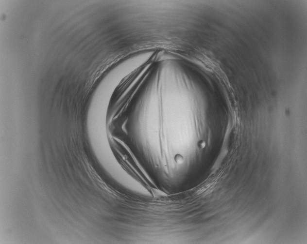 X0000055520109200509091417