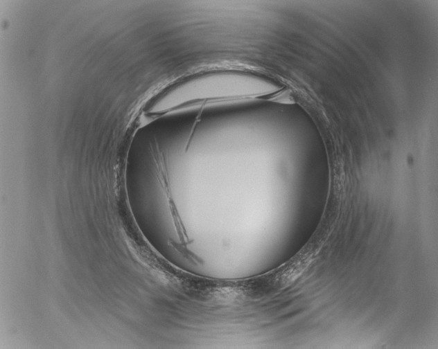 X0000055520111200509091417