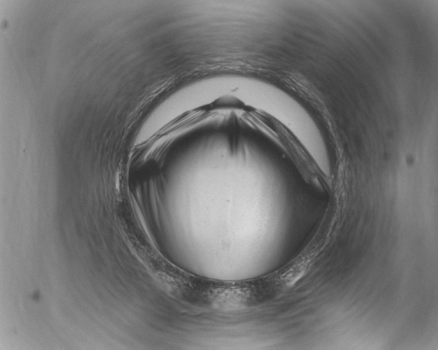 X0000055520115200509091417