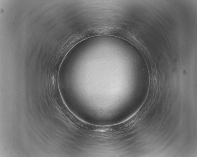 X0000055520117200509091417