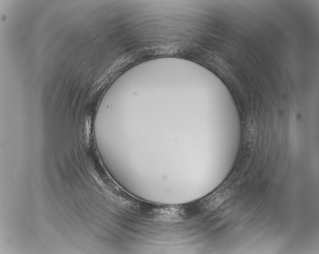 X0000055520118200509091417