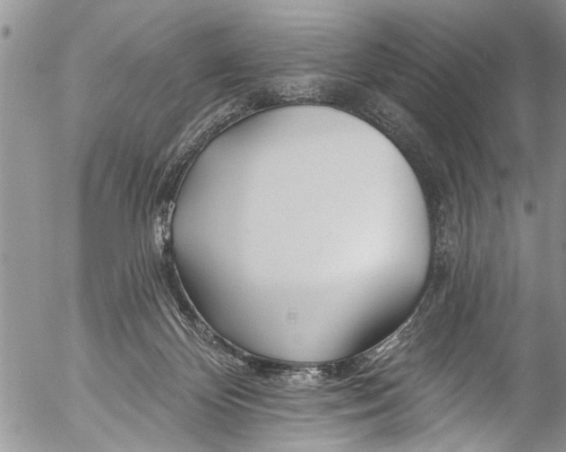 X0000055520124200509091417