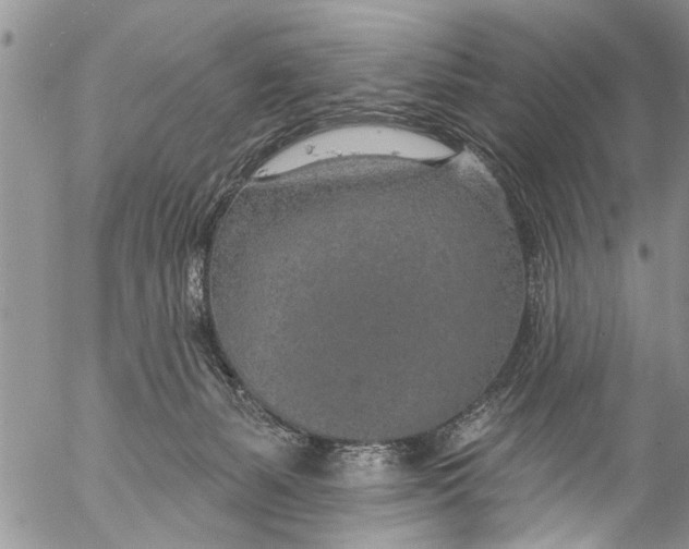 X0000055520127200509091417