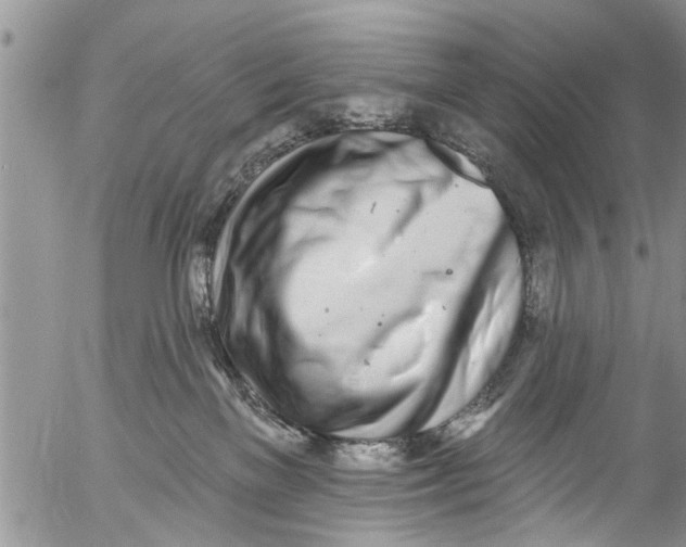 X0000055520137200509091417