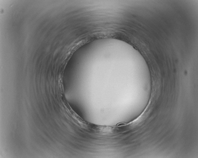 X0000055520144200509091417