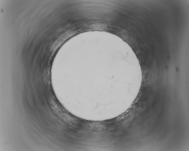 X0000055520146200509091416
