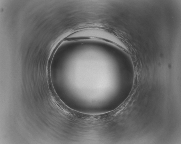X0000055520148200509091416