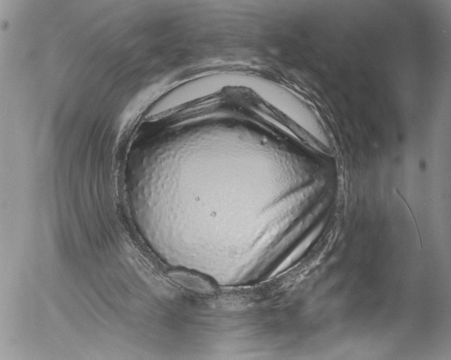 X0000055520149200509091416