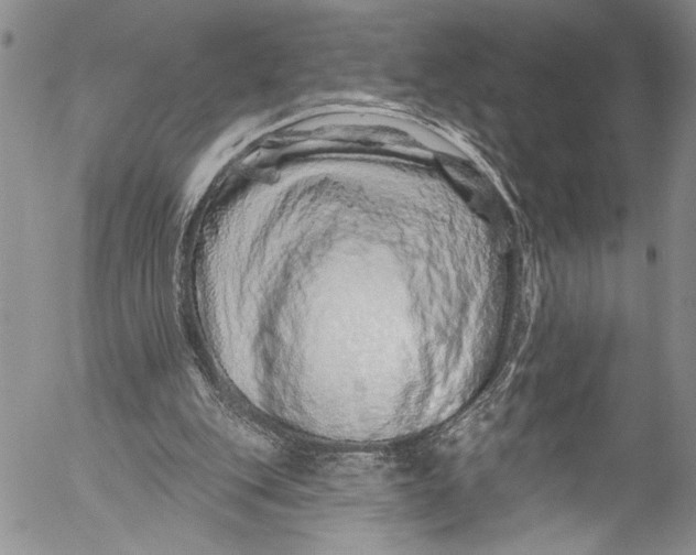 X0000055520151200509091416