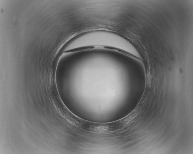 X0000055520156200509091416