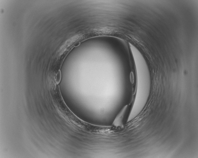 X0000055520168200509091416