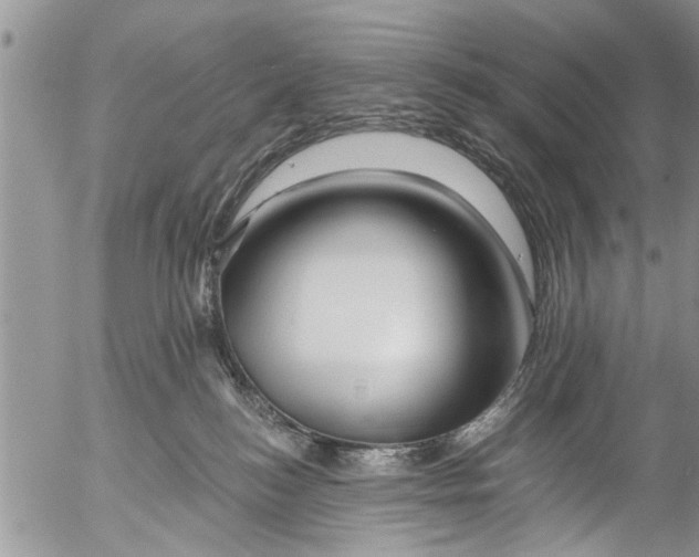 X0000055520184200509091416